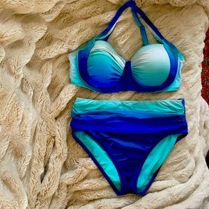 Bleu Rod Beattie bikini